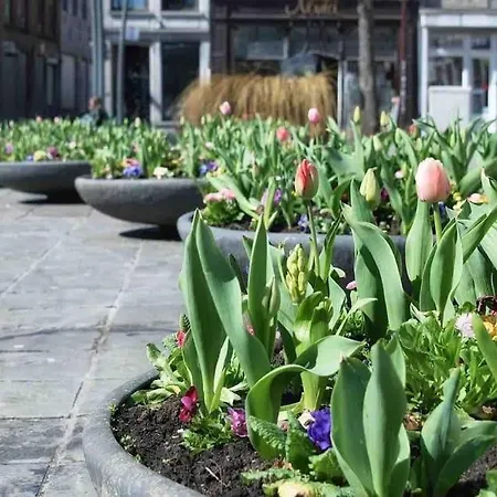 Superbe Dans Le Centre De - Arivée Autonome Appartamento