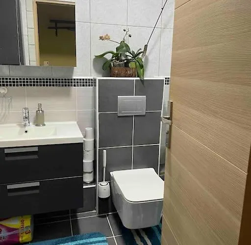 Apartmán Superbe Dans Le Centre De - Arivee Autonome