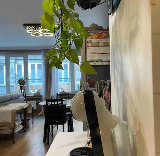 Apartmán Superbe Dans Le Centre De - Arivee Autonome Mons