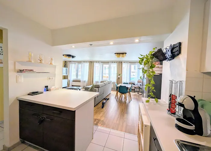 Apartmán Superbe Dans Le Centre De - Arivee Autonome *